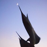 image 4478-fish-moon-jpg