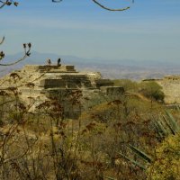 image 0403-monte-alban-jpg