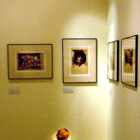 image 0743-boy-studying-in-gallery-jpg