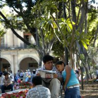 image 0796-zocalo-sunday-jpg