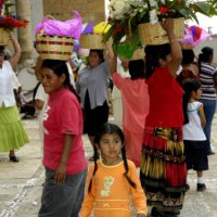 image 1078-villa-de-etla-flower-dance-jpg