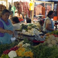 image 2110-market-fruit-jpg