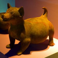 image 2771-museo-prehistoric-dog-jpg