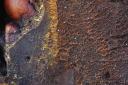 cement - crop2