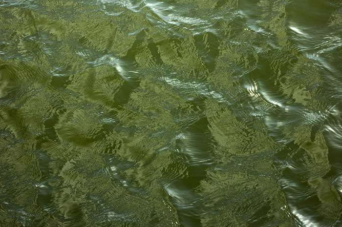 water