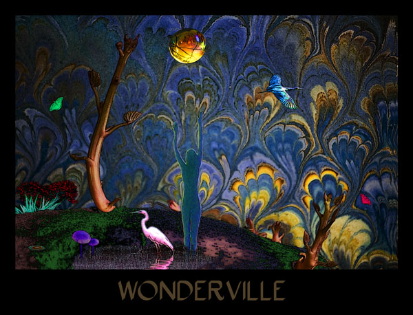 4681-wonderville-small
