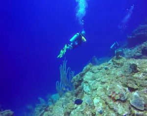 Diving in Roatan