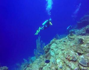 Diving in Roatan