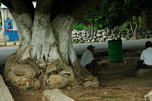 Telchaquillo Bus Stop